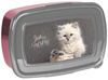 Katze