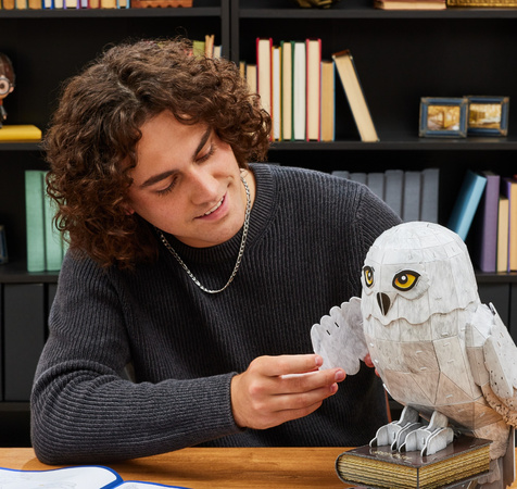 Puzzle 4D Build Eule Hedwig Modell 3D Figur zum Zusammenbauen
