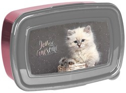 Paso Frühstücksbox Katze 750ml