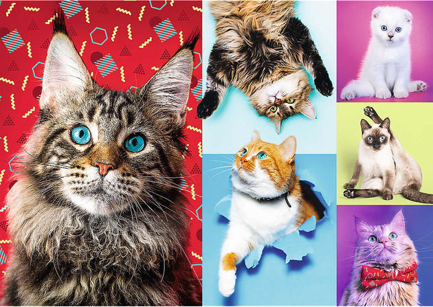 Trefl Puzzle 1000 Elemente Fröhliche Katzen