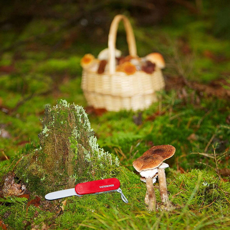 Swiss Army Knife Victorinox Spielzeug-Taschenmesser für Kinder Klein