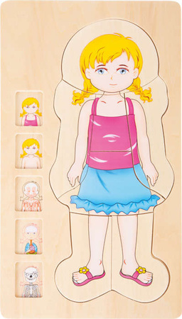 Holzschichtenpuzzle Anatomie Körperbau Mädchen