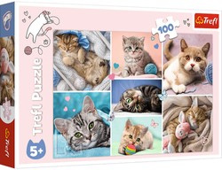 Trefl Puzzle 100 In der Welt einer Katze